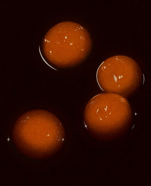 772120468 18619093489010128 5992001632293540230 n 6a7c73a87d4a1 700.jpg