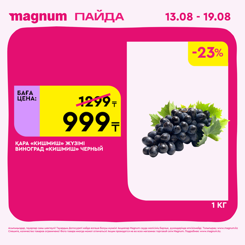 Magnum 1440x1440 1 tov (39).png