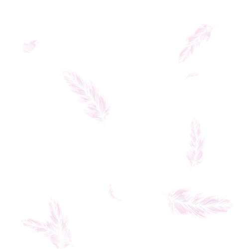 IMG 5967.png