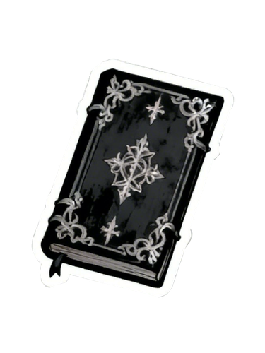 IMG 5978.png