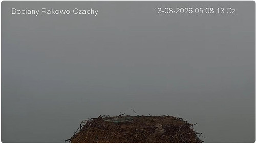 MWSnap901.jpg