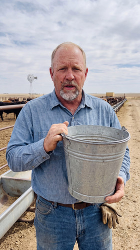 cv14 terry feedlot.jpg