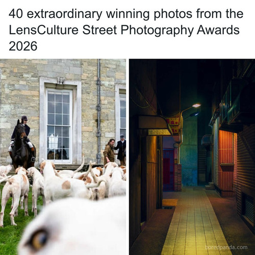 winning photos lensculture street photography awards 2026.jpg