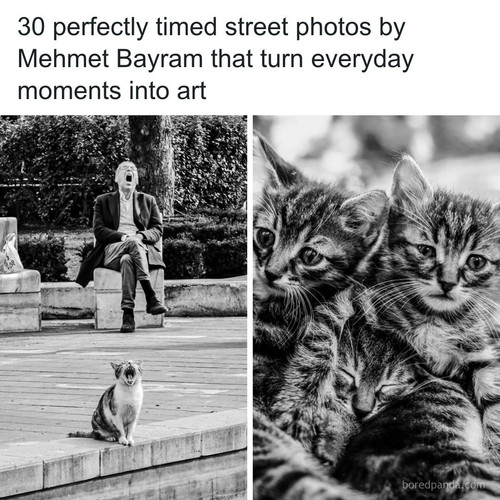 black white street people photography mehmet bayram.jpg