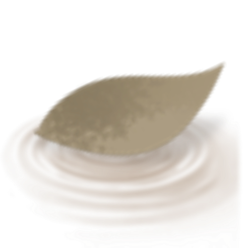 IMG 2999.png