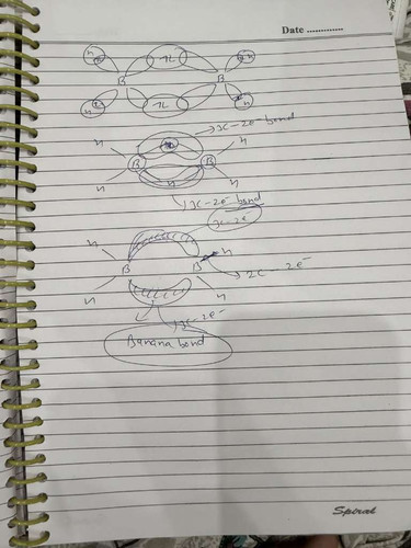 d49843e8e815.jpg