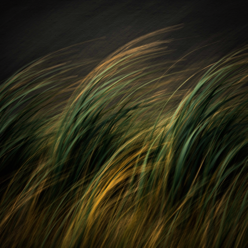 55f845e0aaec.png