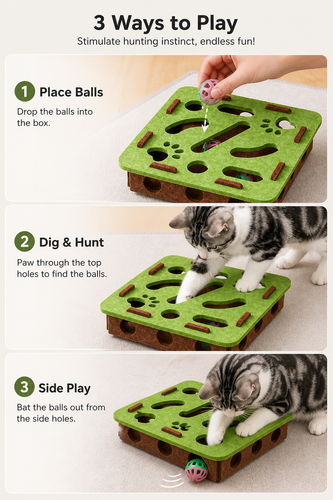 detail 04 play howto.png