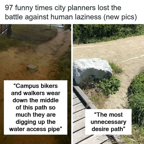 desire path pics.jpg
