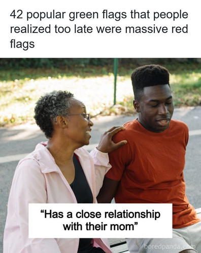 red flags.jpg