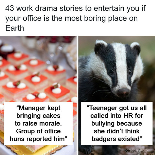 ridiculous workplace drama stories.jpg