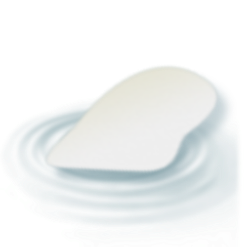 IMG 2959.png