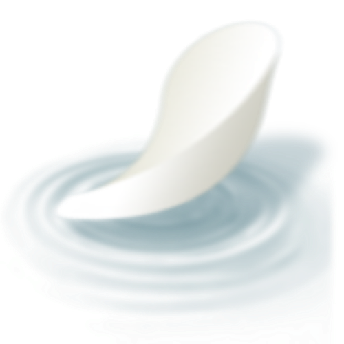 IMG 2958.png