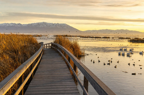 stop farmington bay.jpg