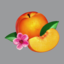 5fadb1ae441c.png