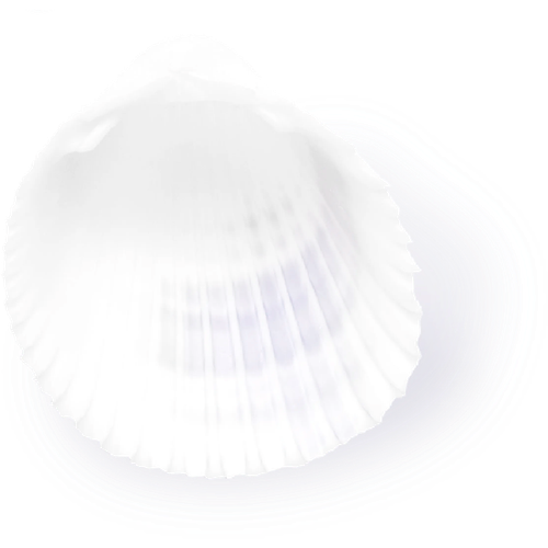 IMG 2986.png