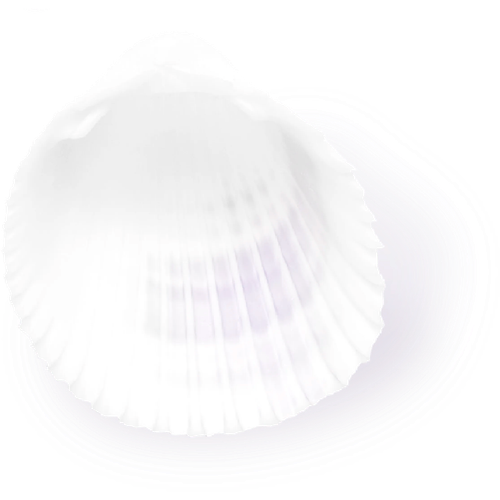 IMG 2979.png