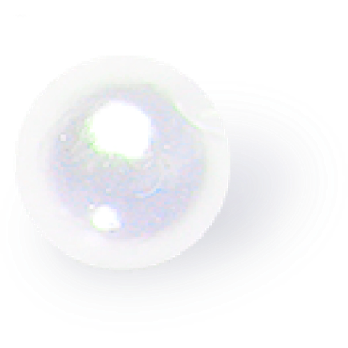 IMG 2984.png