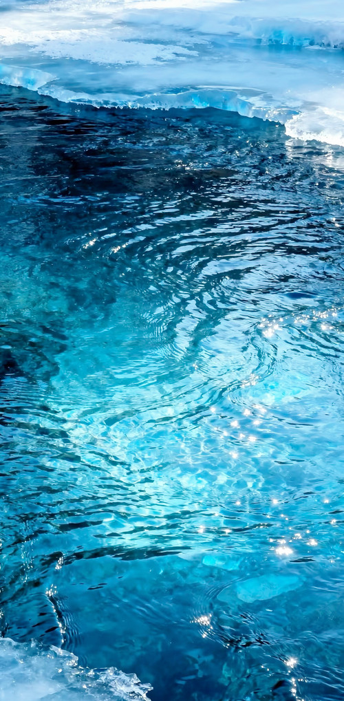 IMG 8195.jpg