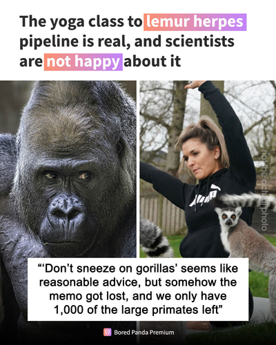 image (9).png