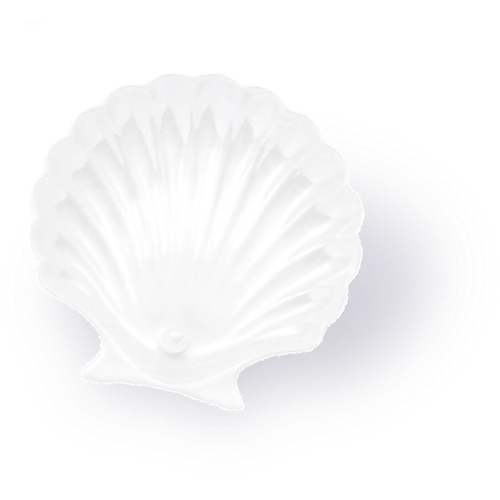 IMG 2989.png
