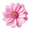 full size.png