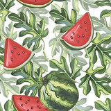 MELON SPLASH