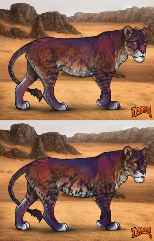 27544.jpg