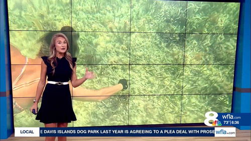 08.07 11.00.00 NewsChannel 8 Today at 6a ᴺᵉʷ. Local and regional....ts snapshot 00.37.28.752.jpg
