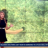 08.07 11.00.00 NewsChannel 8 Today at 6a ᴺᵉʷ. Local and regional....ts snapshot 00.37.28.752