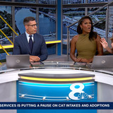 08.07 11.00.00 NewsChannel 8 Today at 6a ᴺᵉʷ. Local and regional....ts snapshot 00.59.11.043