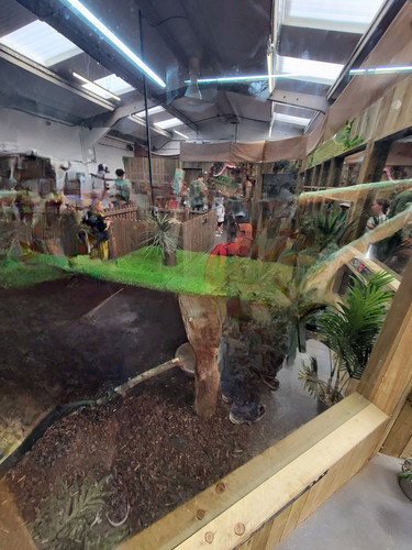 23971.jpg