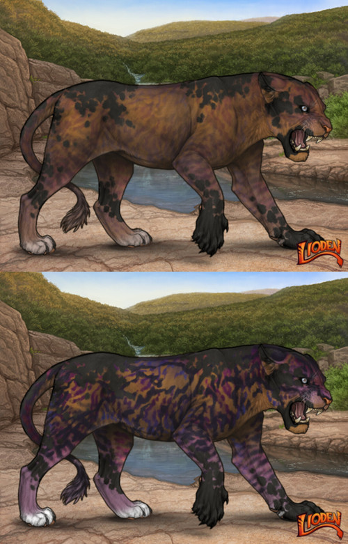 27556.jpg