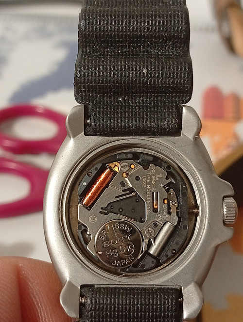 1000055461.jpg