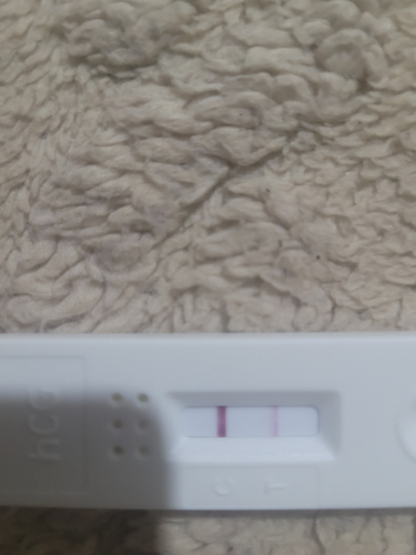 temp.png
