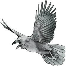 Silver bird 1.png