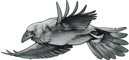Silver bird 2.png