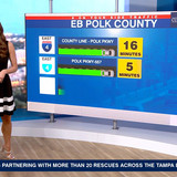 08.07 11.00.00 NewsChannel 8 Today at 6a ᴺᵉʷ. Local and regional....ts snapshot 00.41.45.337