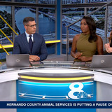 08.07 11.00.00 NewsChannel 8 Today at 6a ᴺᵉʷ. Local and regional....ts snapshot 00.59.08.623