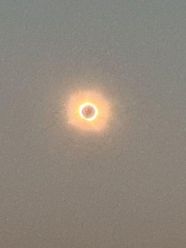 a9e311647491.jpg