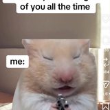 temp.png