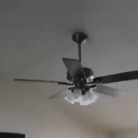 CPvjlTb.gif