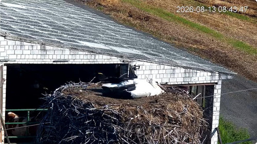 MWSnap953.jpg
