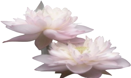 retouch 2026081323540740.png