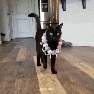 CPw7gea.gif