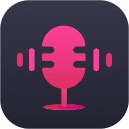 viwizard audio capture.png