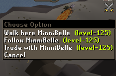 RuneLite wnYdT6Ht3h.png
