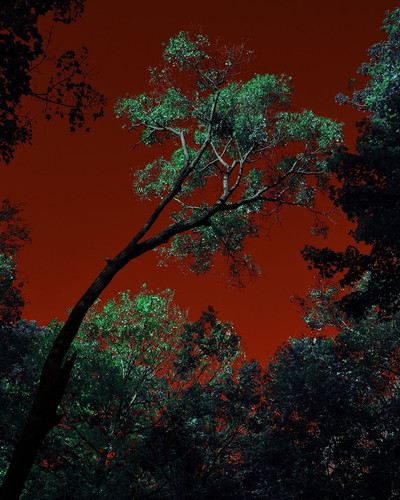 random by @kgmfoo9418.jpg
