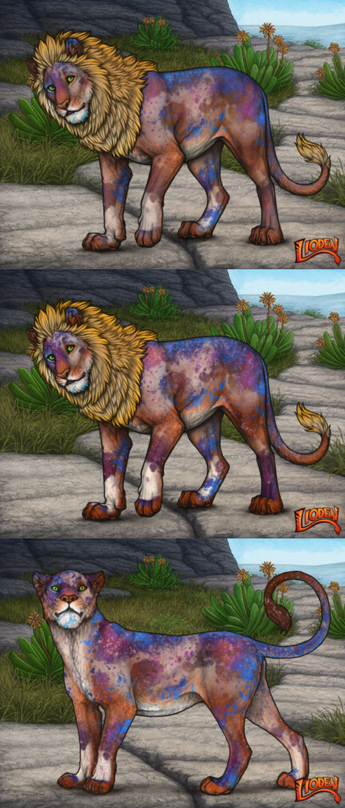 27495.jpg