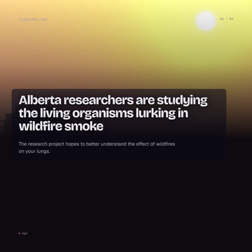 eceb772af075.png